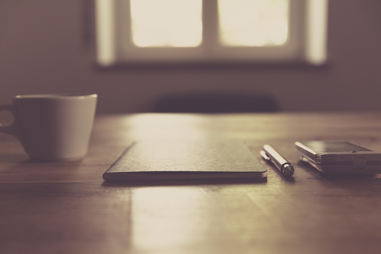 Expert Review Plan